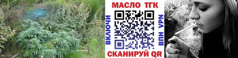 ТГК THC oil  Купить закладки  Костерёво 